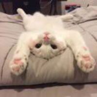 5e40b2aad1b92e31ba2dc1dbce23a093de02ce5a