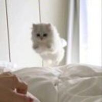 F78f04341a26adf8c90b278ef59675c9e75cb57c