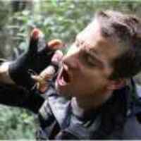 7d43ea5efde3509035479f754bbcc853905a7c76