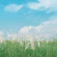 695c58e887110b43a620326b5c39a27f5b24131f