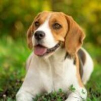 F9bc2199677a163c0ab7f5ab6d0fffd21406fdd7