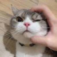 4cb036dd351d177dee13481b3b7d135cc29b6bda