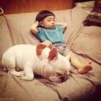 16a145a911bbb143d8f479572e91c290e3766fe7