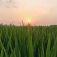 C75e6e2fc44d720ae4de535d8311372f9dd7aa39