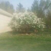 C19a764b4934c97098ef3ad4918ec4e51d64e15c