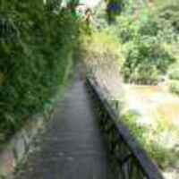 3115994acd38ff204d42da3b8493f7c26597617d