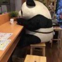 49f3ba6012ddecbe3a2241c961c347fa3cfaf601