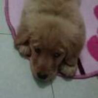 4885d2b37fe505af1348011e1639815ca9da52db