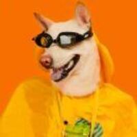 5e2dea0f0b6f578e7c1567dbea54e451cf9826e8