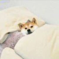 52e96c9dd08dc6cf0dcc291af02d57ac6fcf32ed