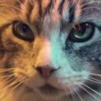 7e749bbf5c068c1a7353d08cbc2da9be4d37a3ef