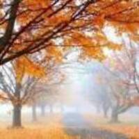 8608300737bb367743d31c16f1ba26a59ed55fec