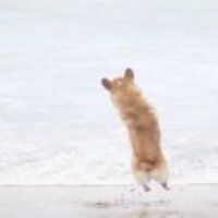 629a4af1cb1ccace9daf8d3a8c404d6b29d58c75