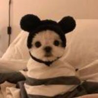 22ea939a4fed124a818feac289207074f8fc4ed1