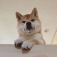 E73048a6fa3b83da117062be8abab66b9ad684f8