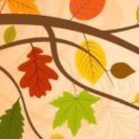 3916fd451155ca96e6adc980ba61ddc33d849315