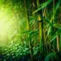 4978cf43d9f89ff92fe062d3bc5edeeea968bc9e