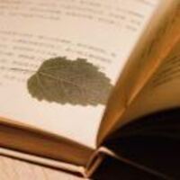 C2be516f188f7ff3984c49268b6f5c8081179ef1