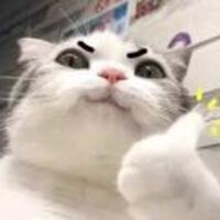 C182d89ae6265a22ff07a5b61cd0e2ed941de641