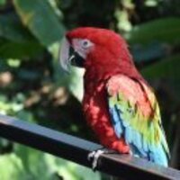 Cc99e0131b6e4cb466ba21f5ceea7ae87b0167ce