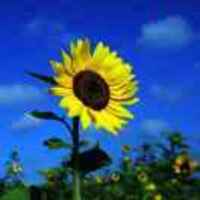 26e48dc223b0d4ceb94bd01b092b8a415da5d470