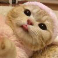 54710782d9d90d56212c40aec46bee7cf5b27aaa