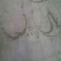 0f75e35999c431d52279e50bea3a08cda618ed2f