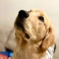 0c1ab1e6a7fde7676a0e2307f5c8f0f3f552ca3d