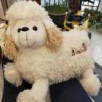 A733cb73d2864613cfcc0be2c57437dbf74a03ff