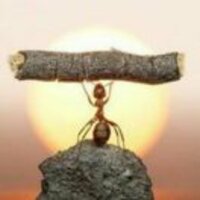 403d2bfe9ff91c74b4ed3e528d3a381f57475132