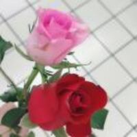 Dea77156ed7fe15bb98c81f46bb0e93d8884ff1c