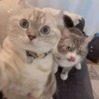 218d54b6b5c6824ffa2d43012c5d20a1feb2cc54