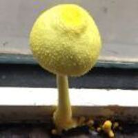 F70312bebcd2f62f450bc79059184119f850cde8