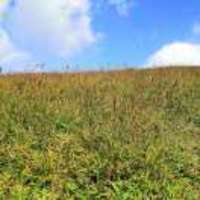 711291b330437c294d6c1191a607a97396350712