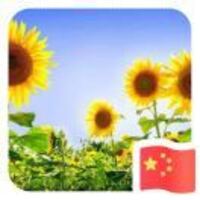 A3f7e83b541ff27fd766dbe3a128a91f51a78aee