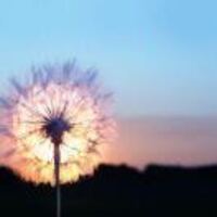 E130caab40f9753c74f84a3d58d289c60416fe24