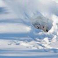 Ba8fc1c91977b1366afef531f0a142b493870599