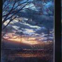 C3e1bc613056849ffa7e01f208817241da84f2ed