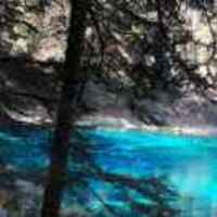 De95f0fed38dc7c4dc038c38311c021dd98f8367