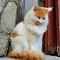 4a17b11ca5585e2b5c7d19bdcfda39c0a8984bc3