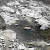 0c7dd6f43b10c165ee8017e2755fb0a57f1bc740