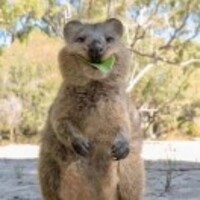 D37aa58cd28bd406a86d8fb3a60fbc4dcb9e7bad