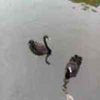 1a77d5f2775837c71ee387aeeeaf2f9690be8f99