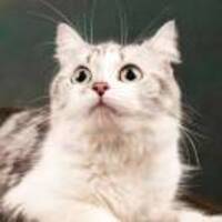 271b4e123c1ec24018283d66d81cdd367474285c