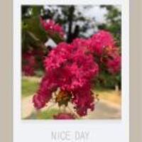 Cdd691178a30a71b3db4fbeba9d5014fce03479a