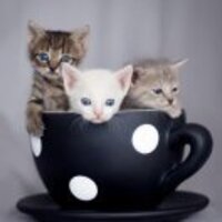 065507c797796bdf3b82452bbc94e626724e18a4