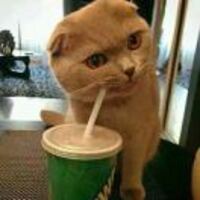 8beea6de7d9fe7cd4713b251898860a2a185e223