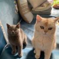 Eb70b9c28be9776600283f6c233c41a937bfcaec