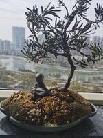 48b6ad309240f30cfbbda4156f1ac327bcbc7002