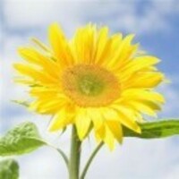 629596b8d36a042c2088349023ef07bda0416a83